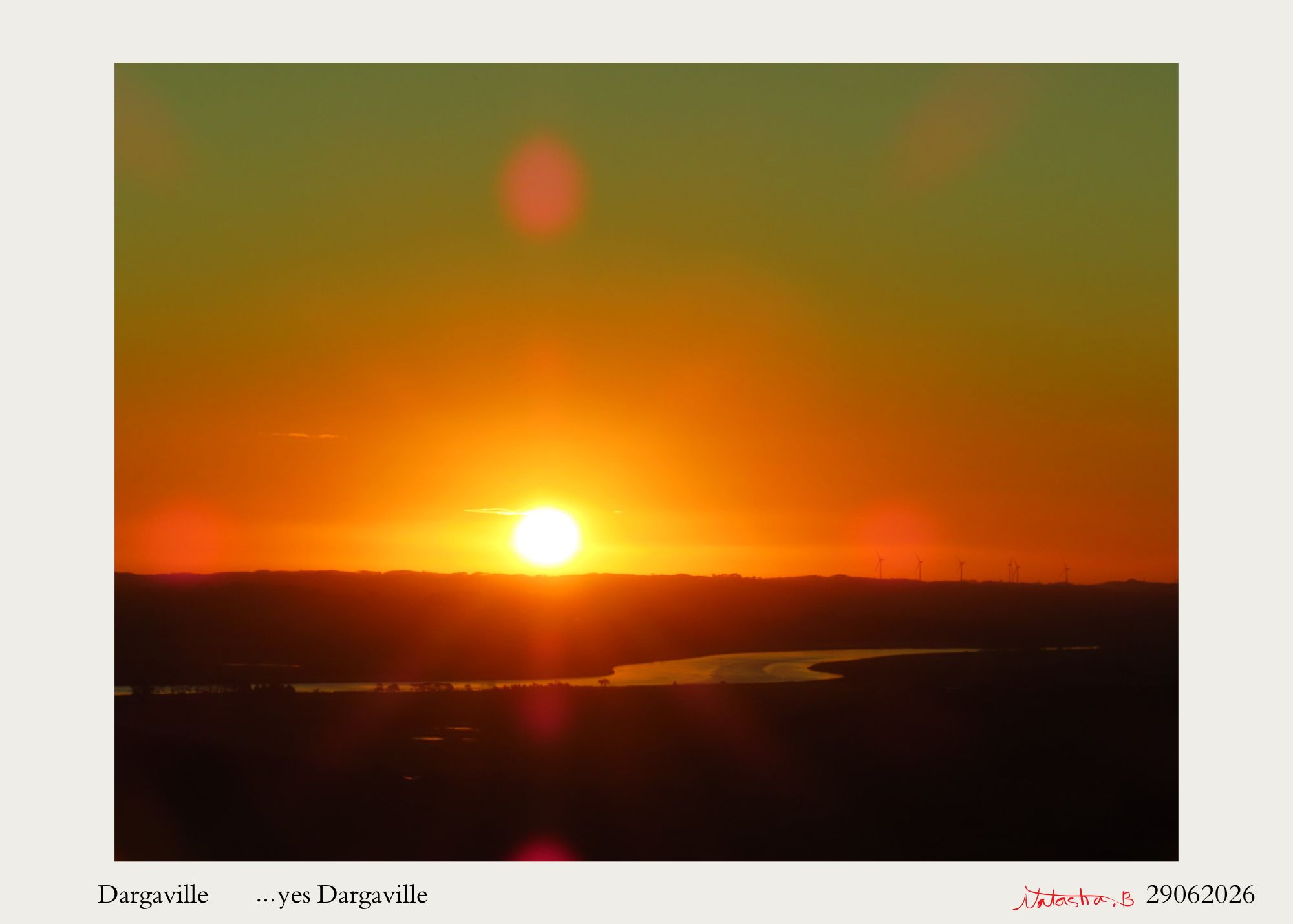 photo of dargaville